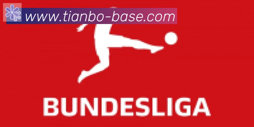 天博官网合作伙伴