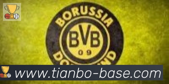 天博官网合作伙伴